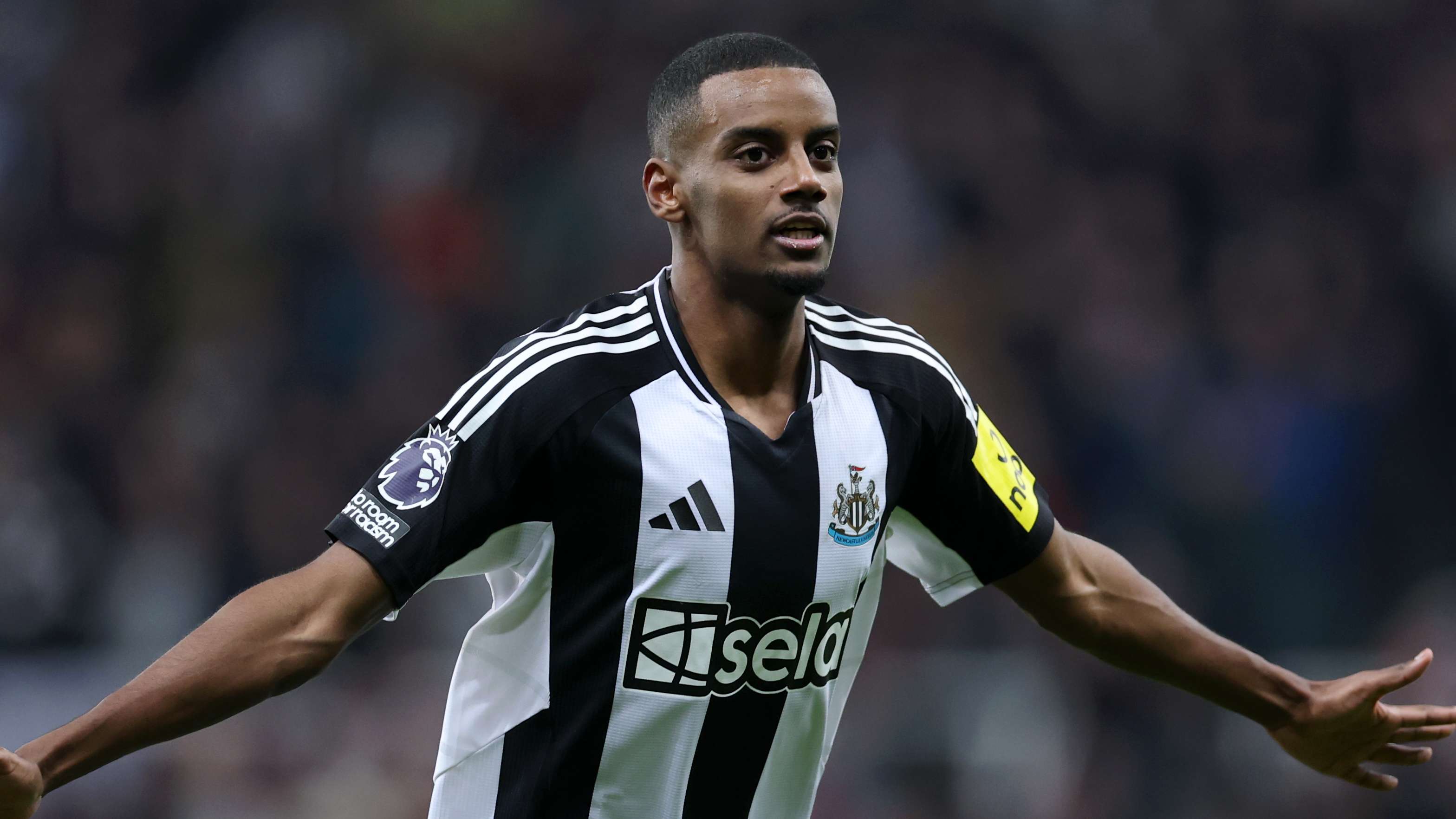 能在家乡的 能在家乡的